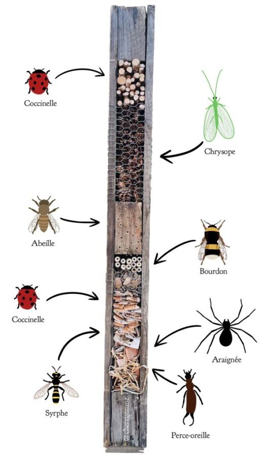 abri insecte en bois