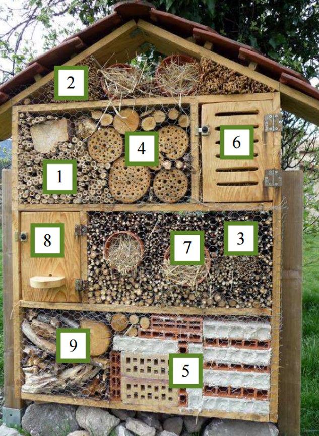 habitat bois pour insectes