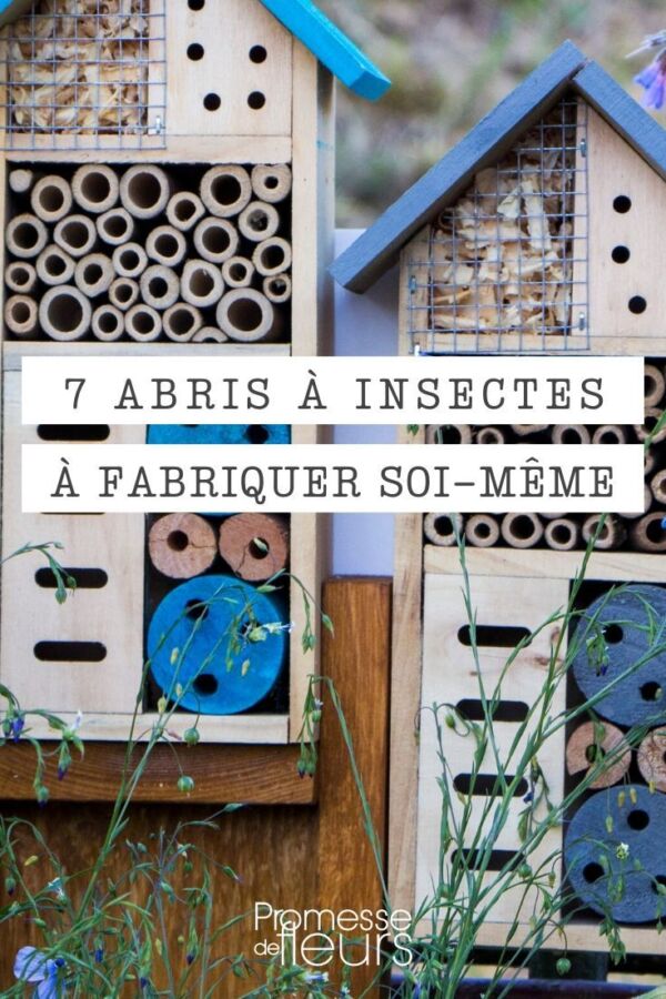 abri insecte en bois