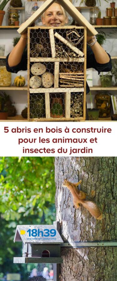maison en bois pour insectes