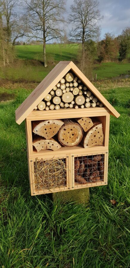 abri insecte en bois
