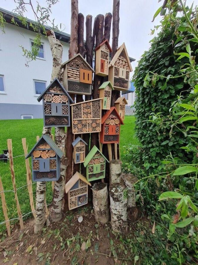 habitat bois pour insectes