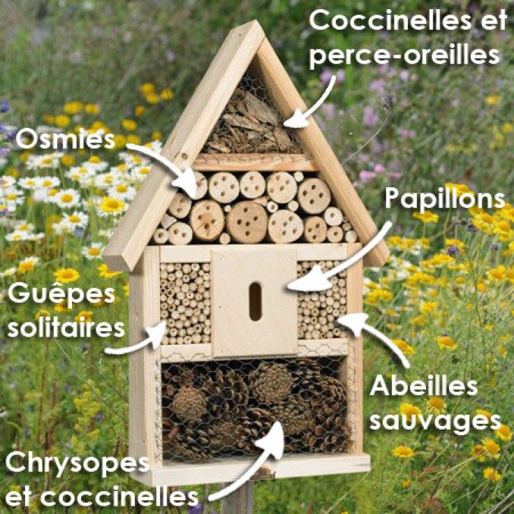 maison en bois pour insectes