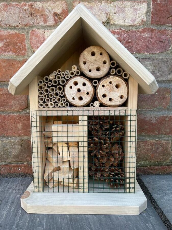 habitat bois pour insectes
