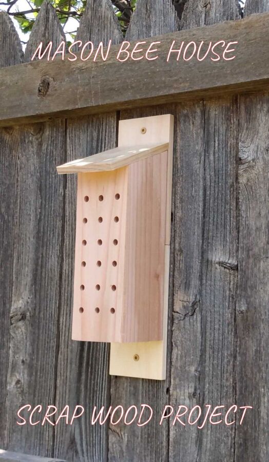 maison en bois pour insectes