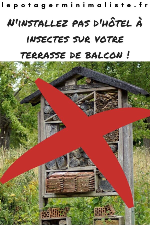 abri insecte en bois