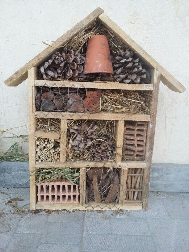 habitat bois pour insectes