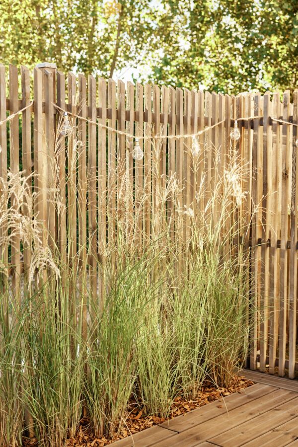 Esthétique clôture bois extérieur