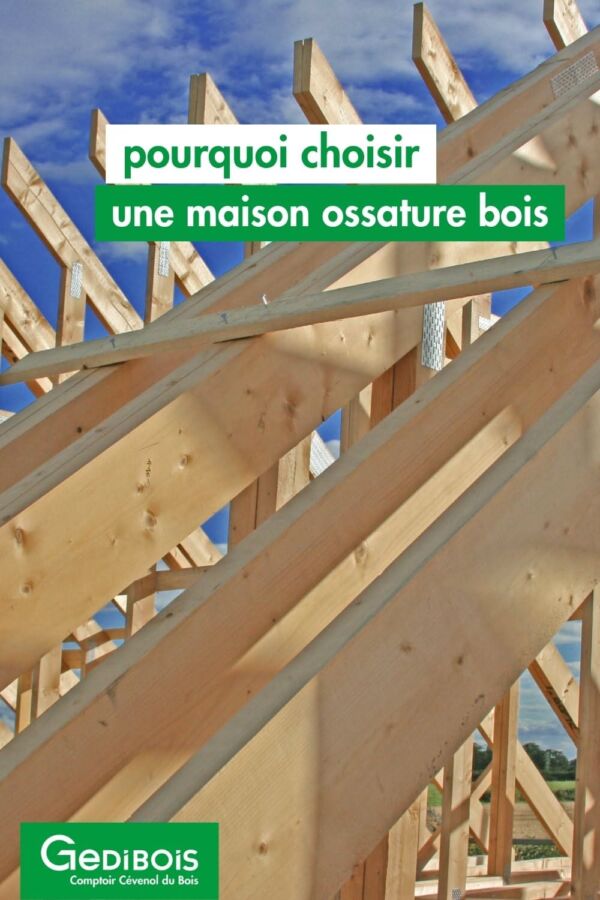 Techniques construction ossature bois