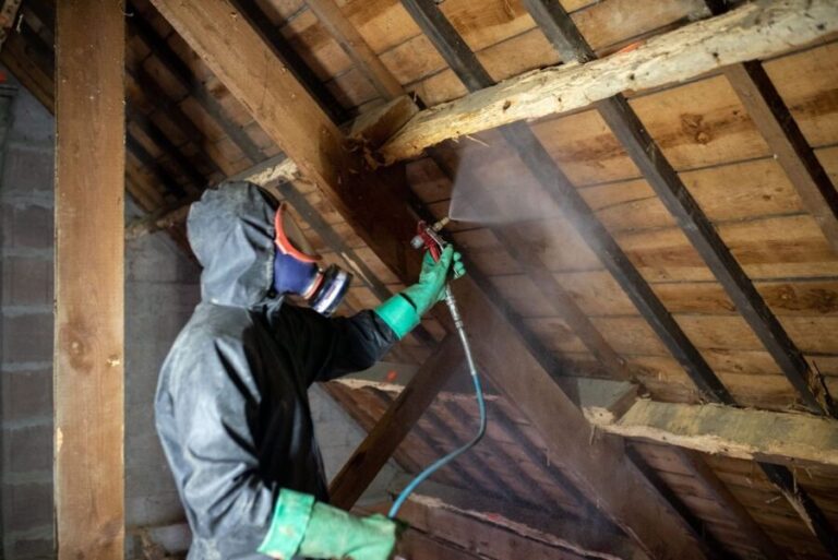 Traitement Vers Bois Charpente : Solutions Efficaces