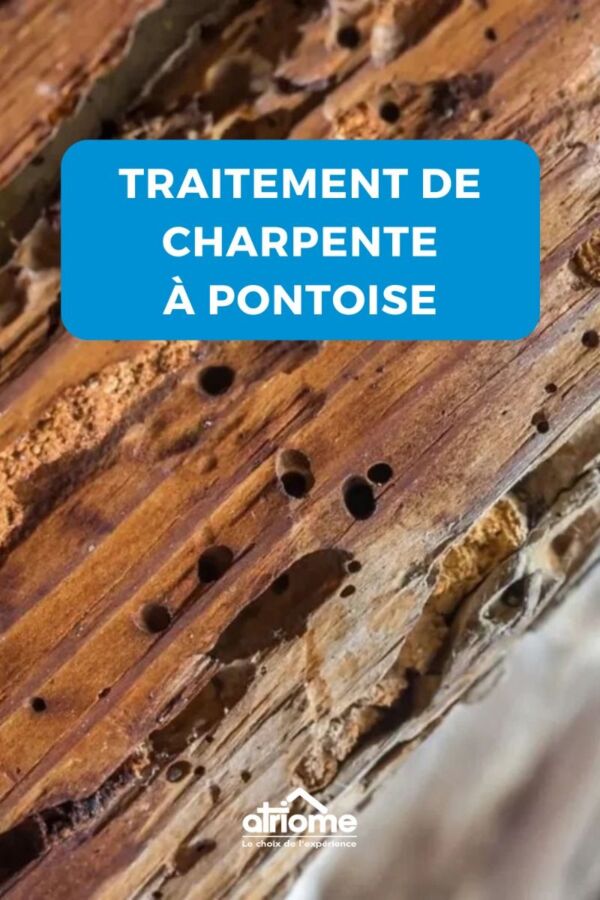Solutions traitement bois charpente