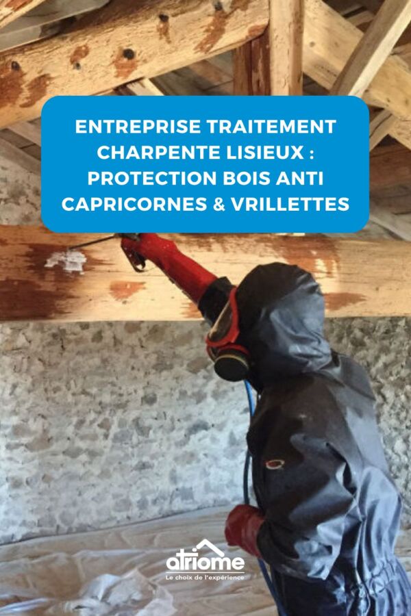 Prévention infestation bois charpente